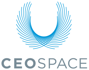 CEO-Space-International-300x238.png